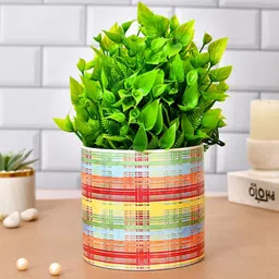 TAYHAA White & Red Checked Ceramic Delight Planter-picture-32
