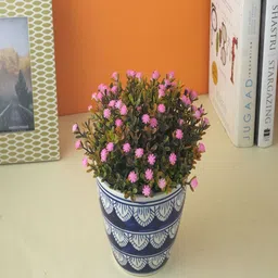 The Decor Mart Blue & White Textured Ceramic Planter-picture-35