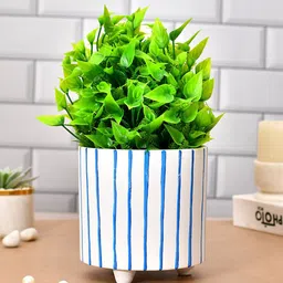TAYHAA White & Blue Printed Ceramic Planter-picture-30
