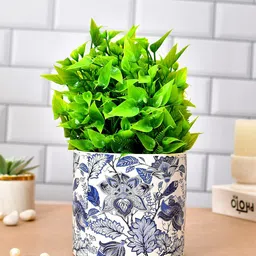 TAYHAA White Blue Printed Ceramic Planter-picture-31
