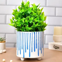 TAYHAA Blue & White Handcrafted Ceramic Planter-picture-27