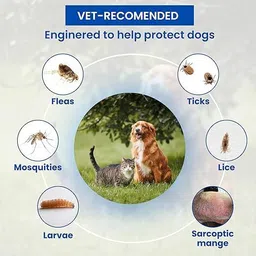 parashield plus Anti Flea and Tick spray for Dogs and Cats Flea and Tick spray for Dog Shampoo image 5