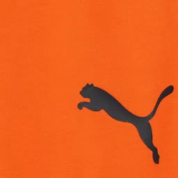 Puma PSL Youth Boys Regular Fit Graphic Track Pants image 3