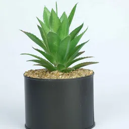 casacraft from pepperfry Polyester Dark Green Elegant Succulent With Metal Pot Artificial Plants image 2