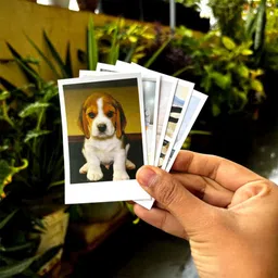 pixify Mini Photo Print Pack of 30-picture-17