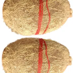 gtw One Eye Ekakshi Nariyal A Fruit of Goddess Laxmi 2-Piece-picture-21