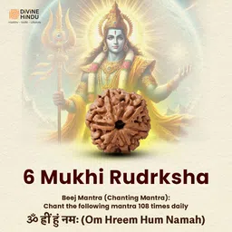 divine hindu 6 Mukhi Original Nepali Rudraksha Bead - Symbol of Divine Power Lab Certified Wood Pendant image 4