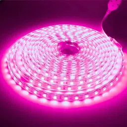 peafowl wholesale 1200 LEDs 5 m Pink Steady Strip Rice Lights-picture-17