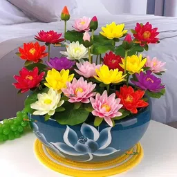 greenery hub Japanese Lotus Flower Seeds | 12-Color Mix | 95% Germination Rate(35 per packet) Seed-picture-12