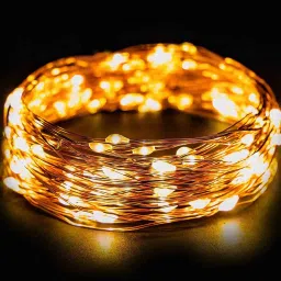 the purple tree Skyline 10 Meter LED String Light (Warm White) image 1