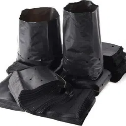 greengrow Grow Bags for Home Garden (Black , 12 X 12 inch) Pack of 40 QTY Grow Bag-picture-37