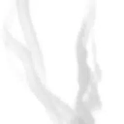 dmlpbp Mora Loban sambrani dhoop Cups Pack of 48 for pooja Guggul DhoopADH Lavender, Rose, Sandal, Jasmine Dhoop image 3