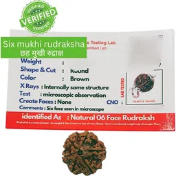 kripalu store 6/ six Mukhi white metal Certified Original Pure Siddha Rudraksha from Nepal Beads Wood Locket image 2