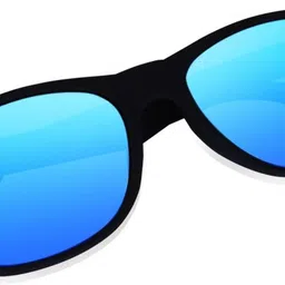 shade house Polarized Wayfarer Sunglasses (52) image 3