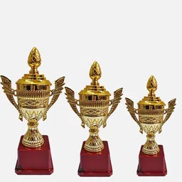 bareezé pure Trophy Set of 3 trophy cup/ trophy awards/ awards/ trophy cup set Trophy-picture-28