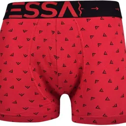 essa Pack of 2 Printed Men Trunk image 3