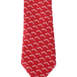 Alvaro Castagnino Men Printed Skinny Tie image 4