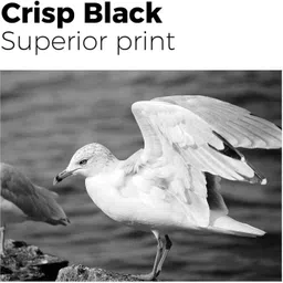 INKSTORE Refill Ink Black - Twin Pack Ink Bottle image 3