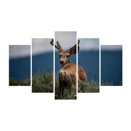 inephos Blue Wood Multiple Frames Beautiful Swamp Deer Nature Art Panels - Set Of 5 image 2