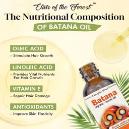 elixir of the forest BATANA 15 image 5