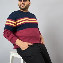 austivo Men Full Sleeve Striped Sweatshirt image 5