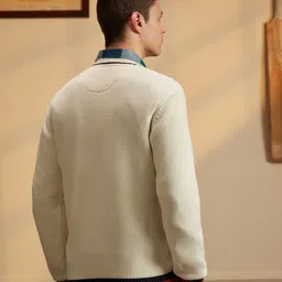 peter england Men Self Design V Neck Beige Sweater image 3