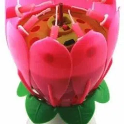 krishiv Cake Candle Musical Candle Lotus Flower Party Gift Art Happy Birthday Candle Lights Party Diy Cake Decoration Kids Candles Wax Candle-picture-19