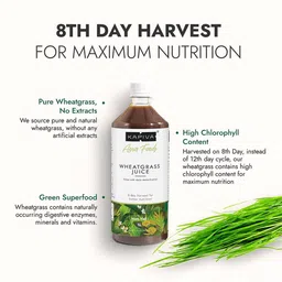 Kapiva Detoxifier Wheatgrass Juice With Digestive Enzymes To Help In Liver Detox - 1L image 3