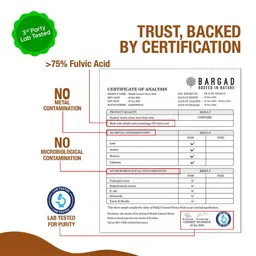 Bargad Himalayan Shilajit Honey Sticks Caramel Flavour, 30 Stick(s) image 4