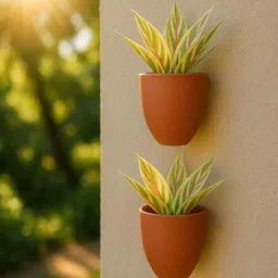 the handicraftian 2 Pcs Red Terracotta 6.5 Inchs Planters-picture-21