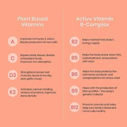 Wellbeing Nutrition Melts Complete Plant Based Multivitamin with 100% RDA of Vitamin A, Vitamin B-Complex, Vitamin C, D3 + K2, Ashwagandha For Immunity, Heart, Energy (30 Oral Strips) image 4