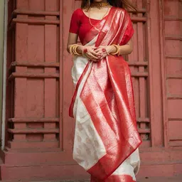 Marziyaa Woven Design Zari Silk Cotton Banarasi Saree-picture-29