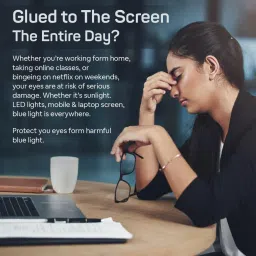 SHENEED WOMEN’S EYE VITAMIN 50+ Supplement for Dry Eyes, Healthy Vision, Natural Eye & Vision Support with Zeaxanthin, Meso Zeaxanthin, Lutein, Blueberry Extract Plus - 60 Capsules image 5