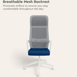 godrej interio Vurv Mesh Ergonomic Chair in Royal Blue Finish image 4