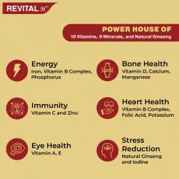 Revital H Multivitamin For Men With Natural Ginseng Zinc 10 Vitamins & 8 Minerals For Daily Energy Stamina & Immunity image 4