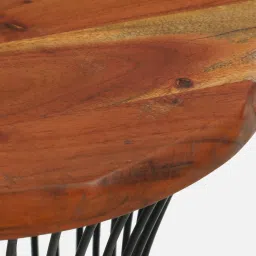 bohemiana from pepperfry Danzi Metallic End Table In Black And Natural Finish image 5