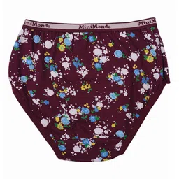 Zoom Minimondo Kids Pack Of 3 Assorted Cotton Hipster Briefs image 3