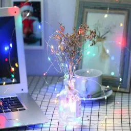 casacraft from pepperfry 5 mtr 3 Battery Operated String Light-picture-38