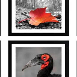 Stuthi Arts Black 6 Pieces Wooden Wall Photo Frames-picture-41
