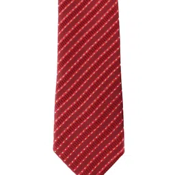 Alvaro Castagnino Men Printed Skinny Tie image 4