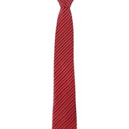Alvaro Castagnino Men Printed Skinny Tie image 5