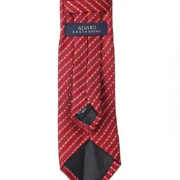 Alvaro Castagnino Men Printed Skinny Tie image 3