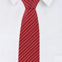 Alvaro Castagnino Men Printed Skinny Tie image 2