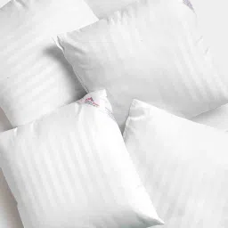 hosta homes Microfiber Filled Cotton 12 x 12 Inch Cushion Inserts (Set of 5) image 2