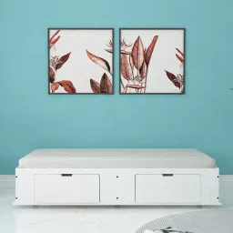 sivom Gusto Diwan Bed in White Colour With Storage image 1