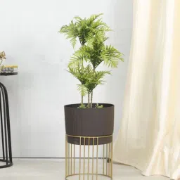 casacraft from pepperfry Golden Ridge Large Brown Metal Planter (Brown)-picture-19