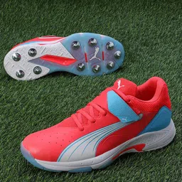 Puma Bowling 24.1 Unisex Printed Cricket Sports Shoes-image-40