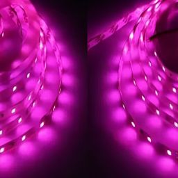 SPARK WORLD Pink 2 Pieces Rice Shape String Lights-picture-26