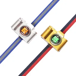 Aapno Rajasthan Set of Two Silver and Golden Camera Rakhis image 4