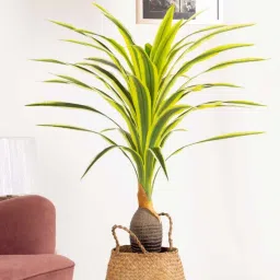 pollination Dracaena Yellow Polyester Artificial Tropical Plant without Pot image 1